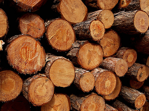 pine logs