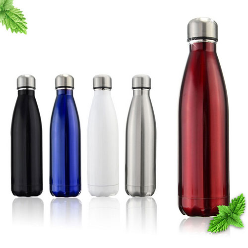 stainless steel water bottle